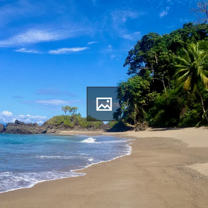 Tropical Beach with Greenery