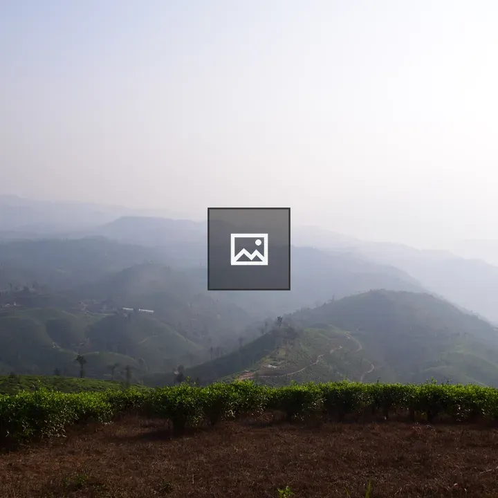 Mountain view landscape