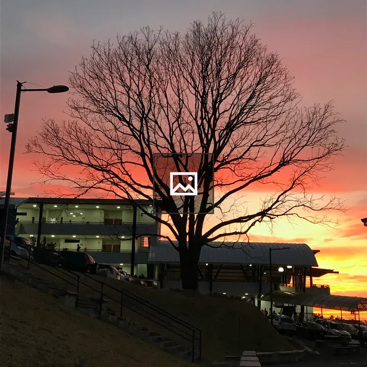 Sunset at Fidelitas University