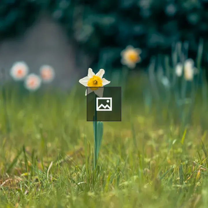 Flower in Grass Field