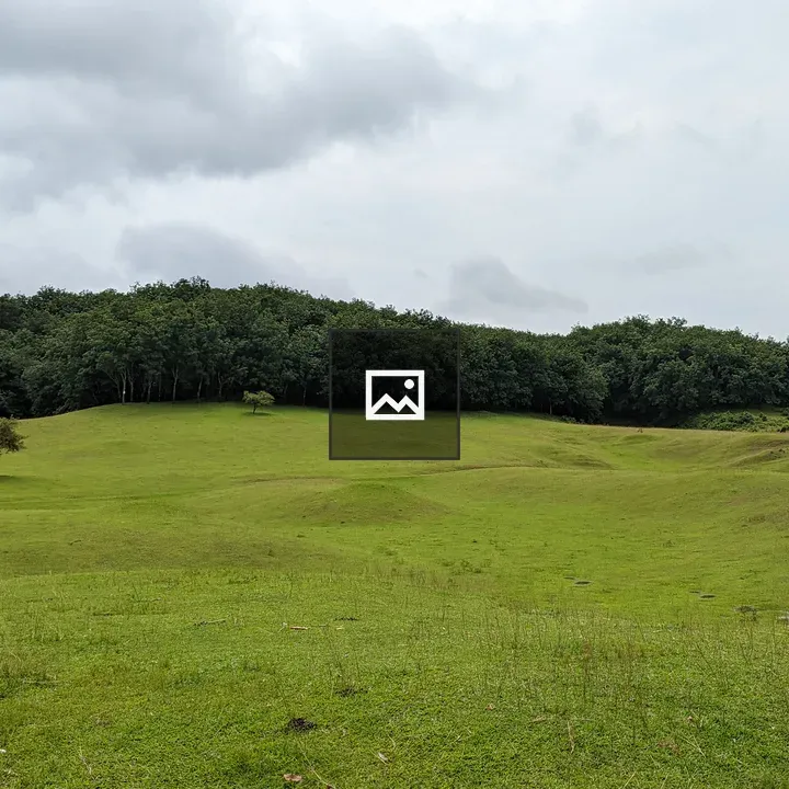 Hill view Sreemangal