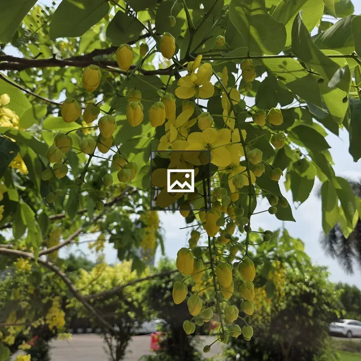 Lush Green Foliage with Background Parking