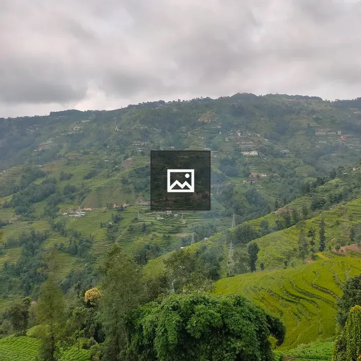 Long View Over Green Hills