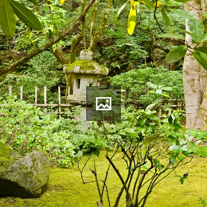 Mossy Stone Lantern in Japanese Garden