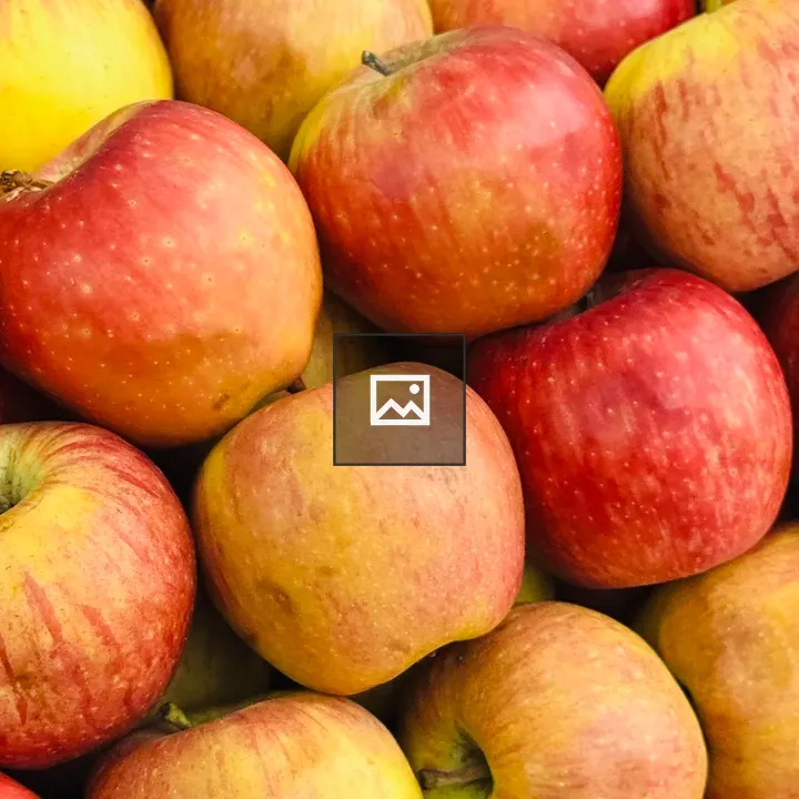Pink lady apple close-up