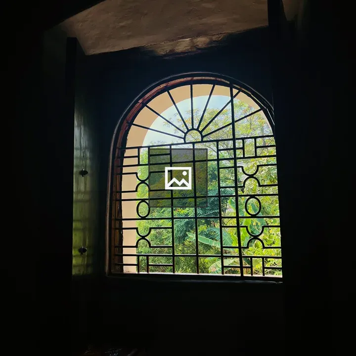 Wooden arched window with ironwork