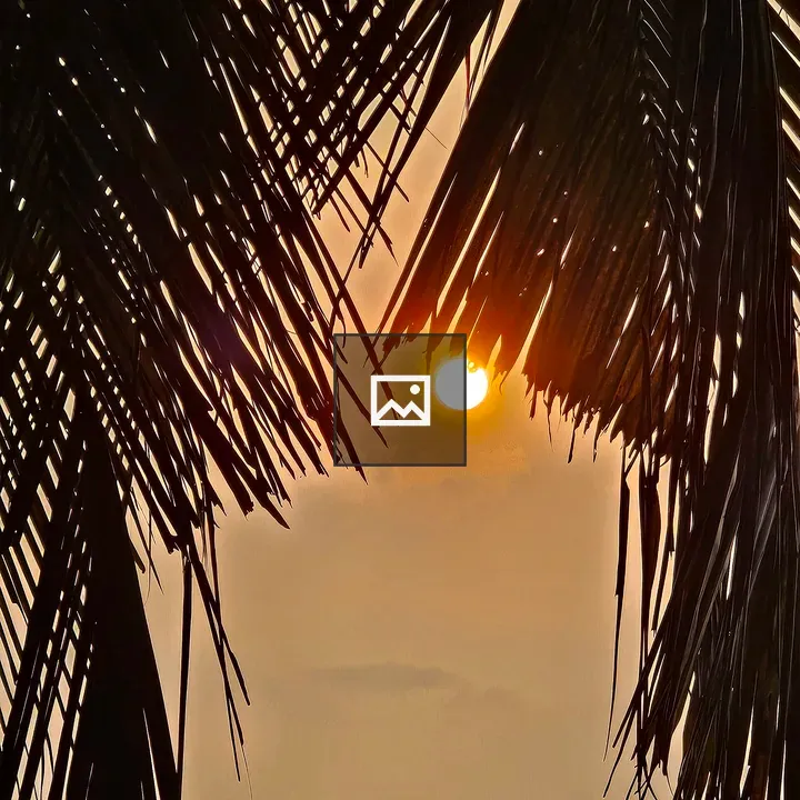 Sunlight Through Coconut Leaves