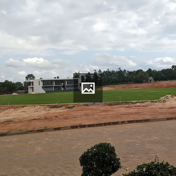 Cricket Stadium