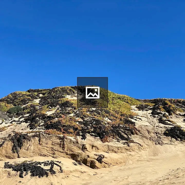 Sand dunes at Marina State Beach