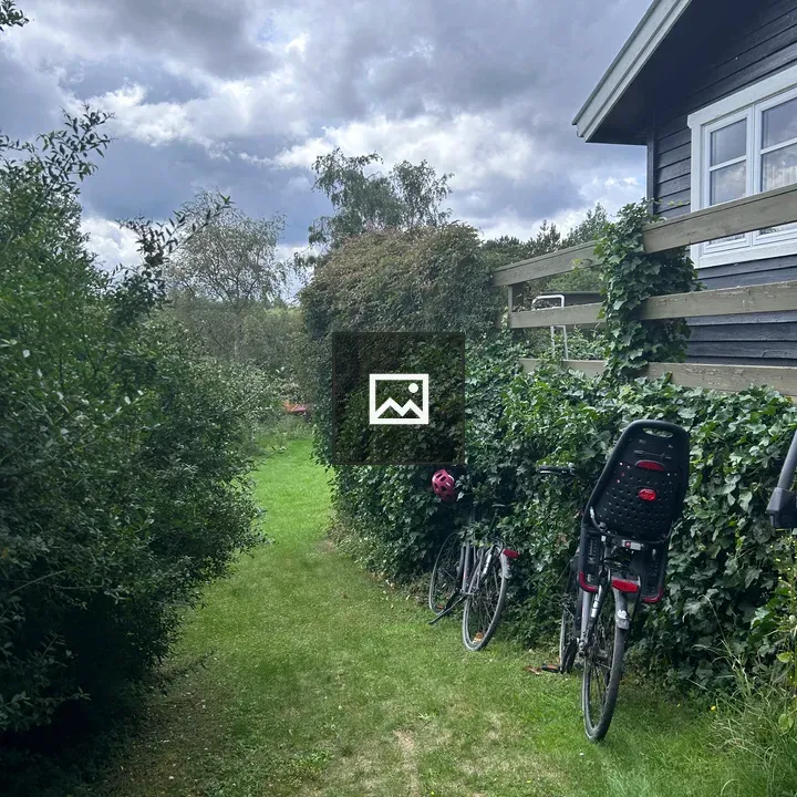 Two black bicycles in garden