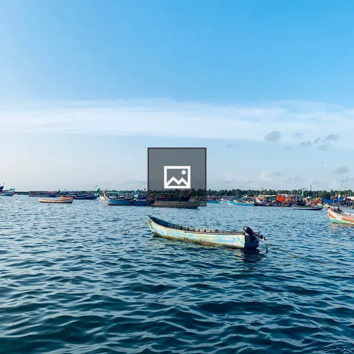 Fishing boats in harbour
