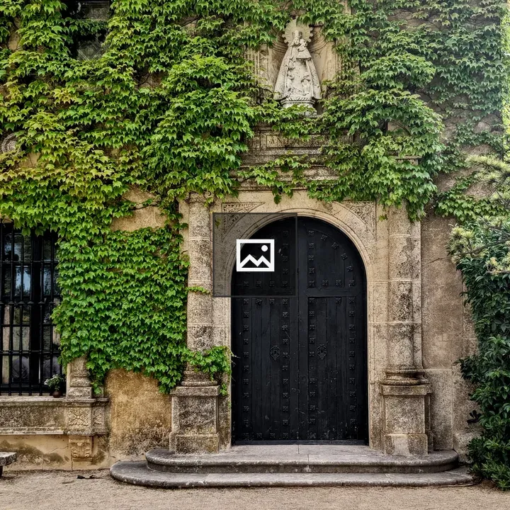 Facade of ivy-covered stone building
