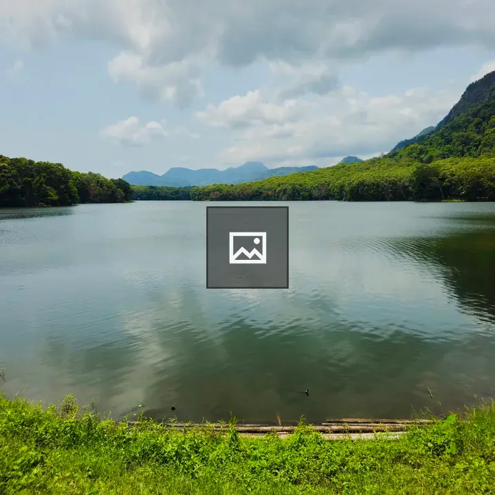 Lake View with Forest and Mountains