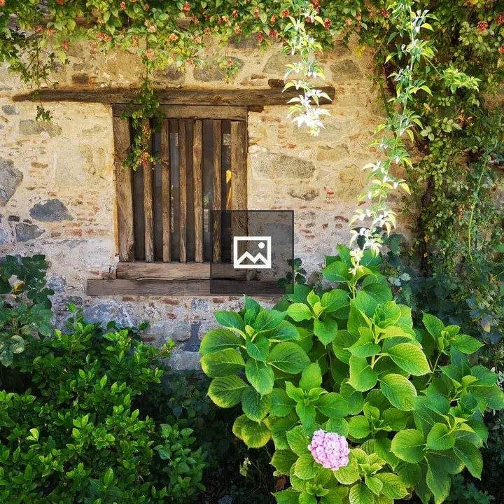 Cyprus wall with window and plants
