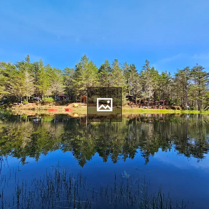A tranquil lake scene