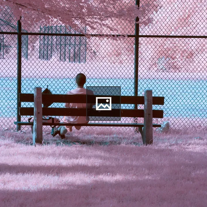 Person on Park Bench