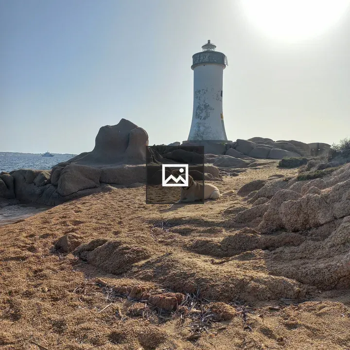 Dog by Lighthouse on Beach