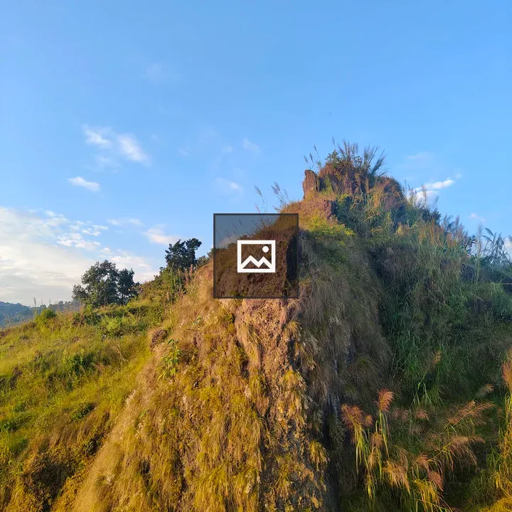 Rocky Grassland Outcrop