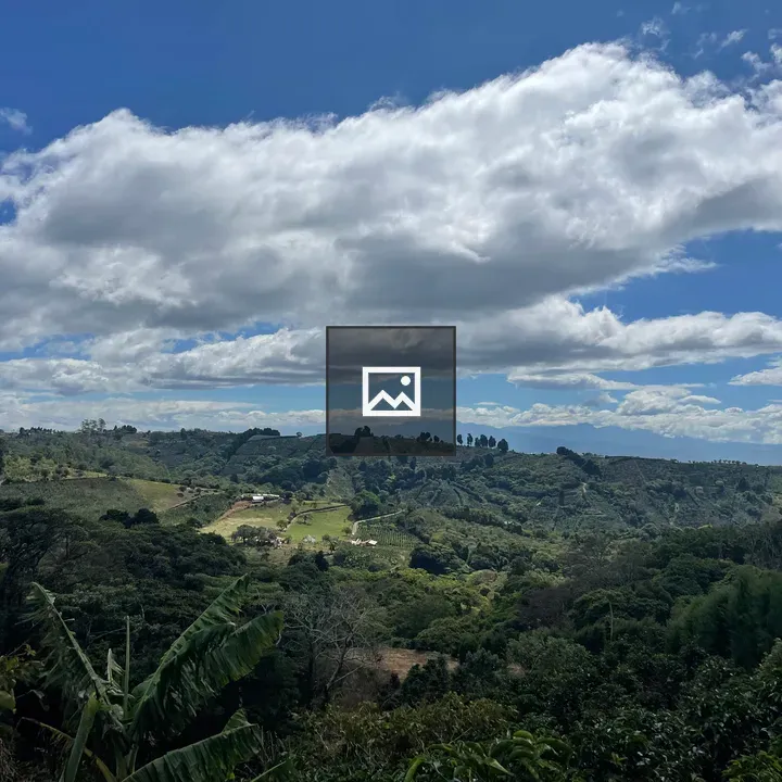 Finca La Celia landscape