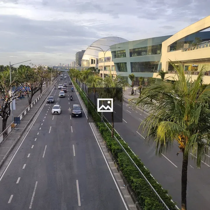 Cityscape with palm-lined road