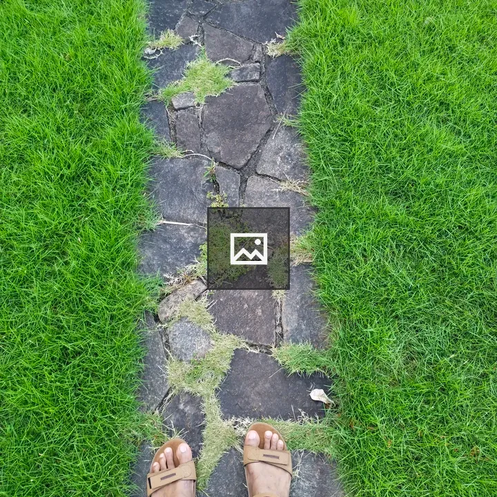 Stone pathway with grass edges