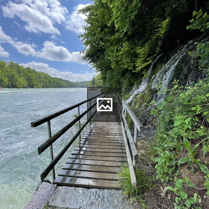 Spring and wooden bridge near Rhine waterfall