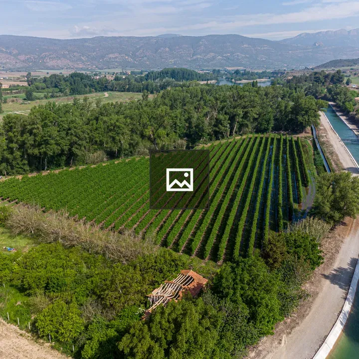 Aerial vineyard with canal
