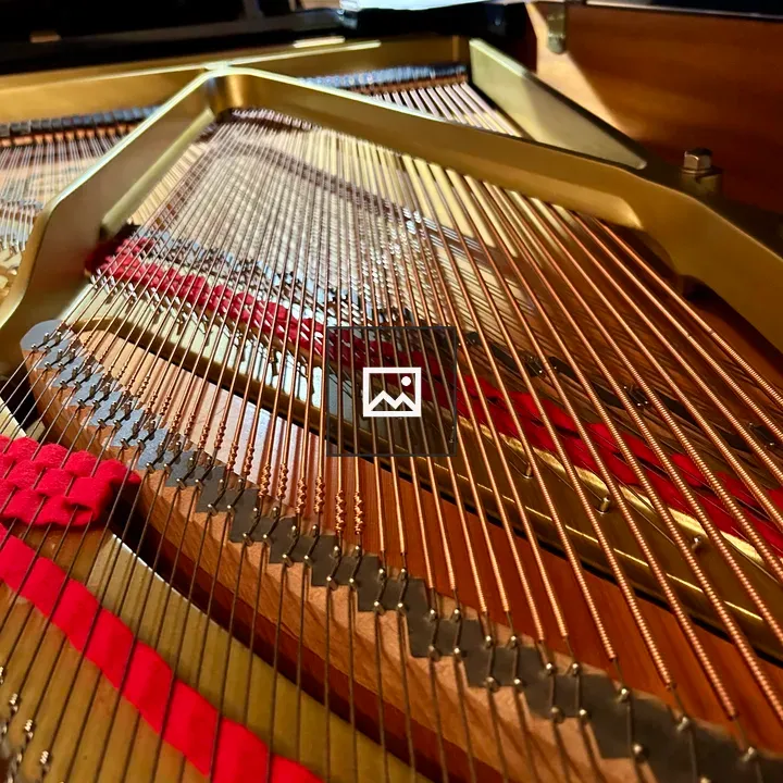 Inside of a classical piano strings