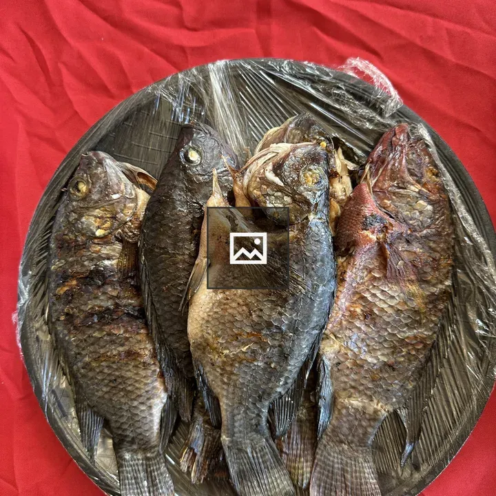 Grilled fish on plate