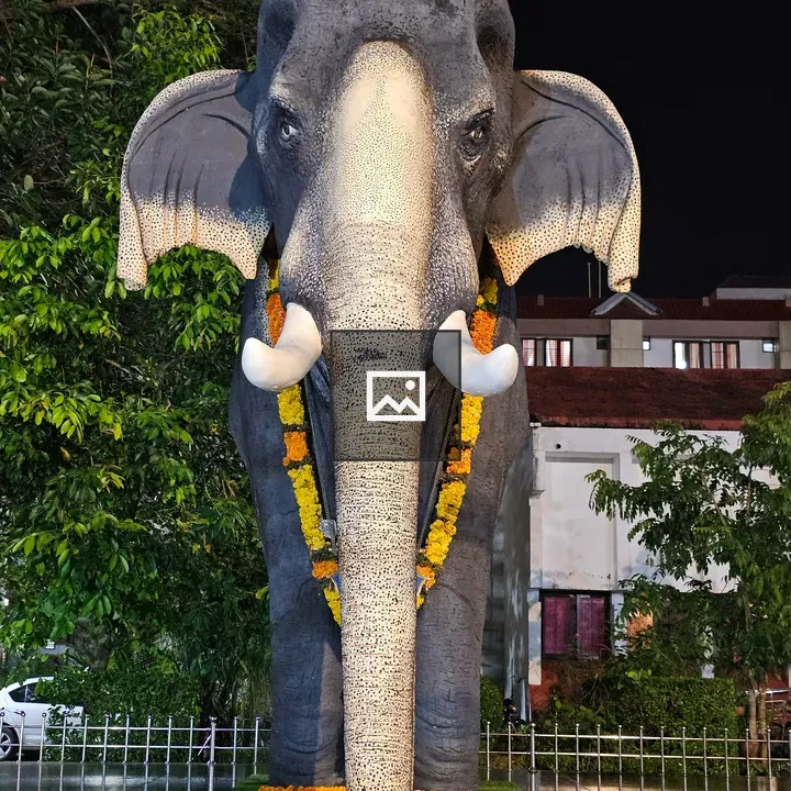 Night view of Guruvayur Keshavan statue