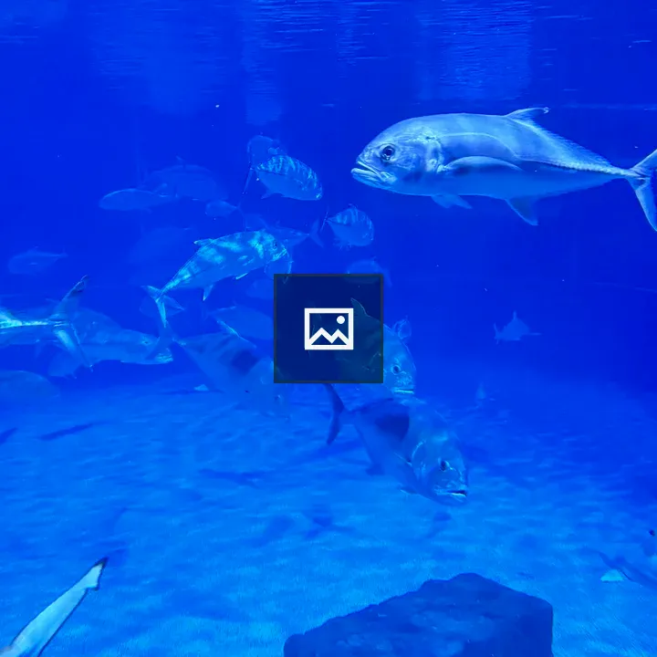 School of silver fish in aquarium