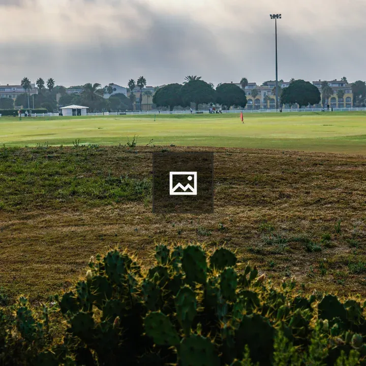 Golf Course Landscape with Cacti