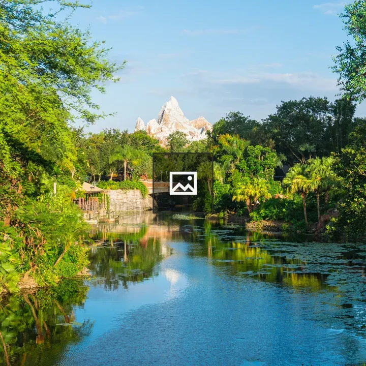 River at Disney’s Animal Kingdom