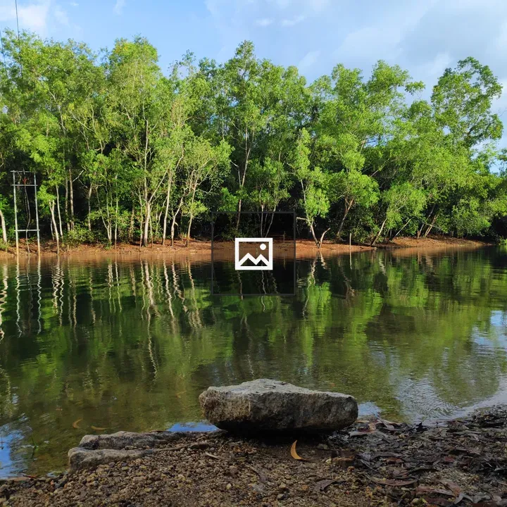 Reflections in river forest scene