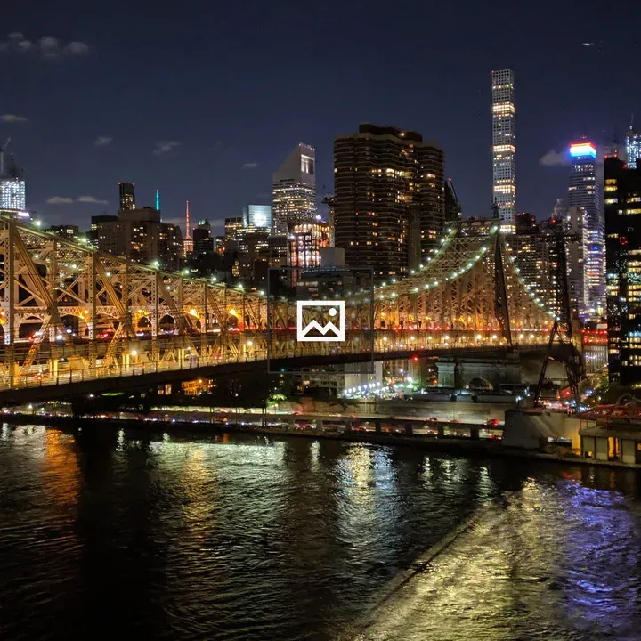 Queensboro Bridge and skyline at night
