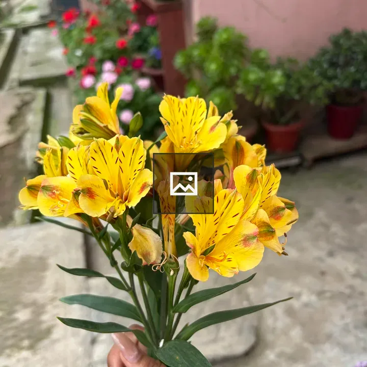 Hand Holding Yellow Flowers