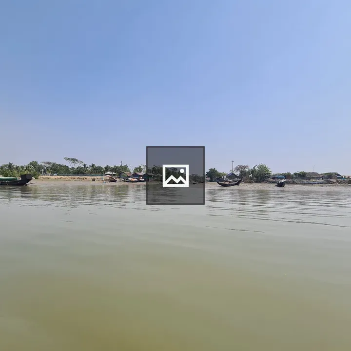 Sundarban Mangrove Riverside