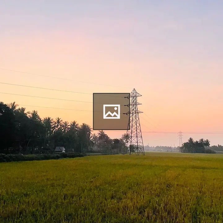 Rice fields at dusk with power lines