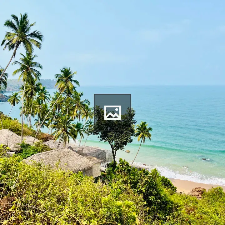 Palolem Beach coastline