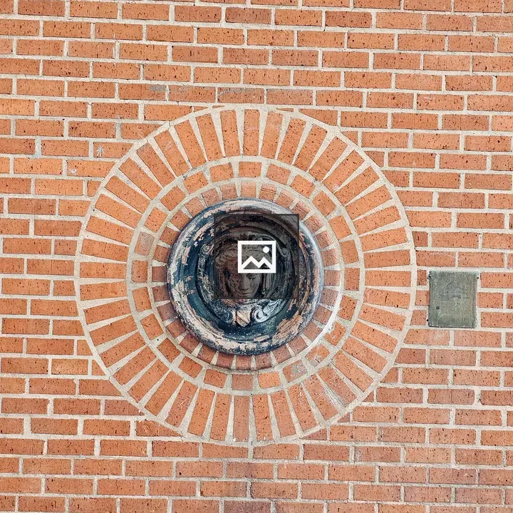 Decorative medallion on brick wall