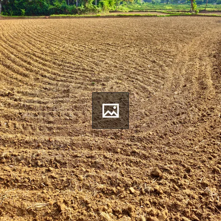 Freshly Plowed Field