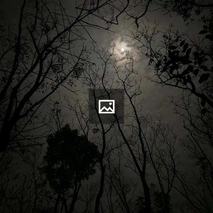 Moon Behind Clouds Over Trees