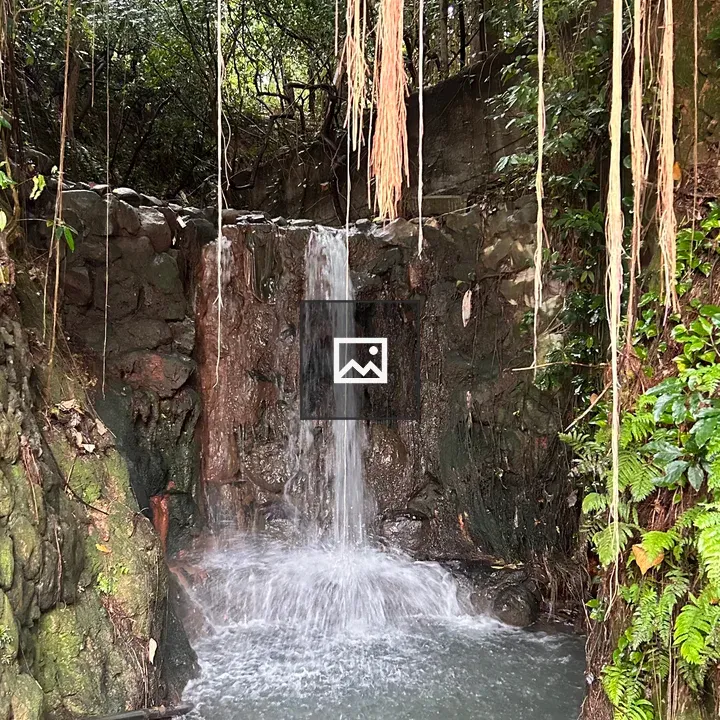 Waterfall with Dense Green Foliage