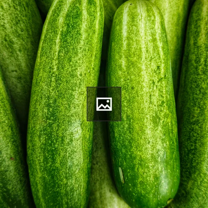 Cucumbers close-up