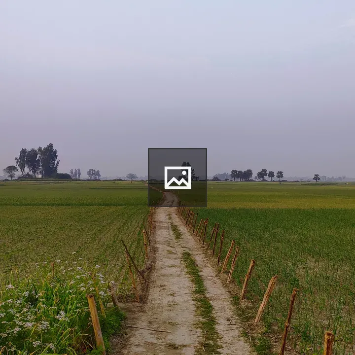 Muddy village road with fields