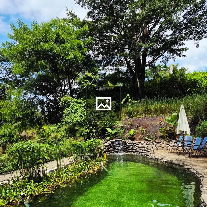 Garden pond with reflections