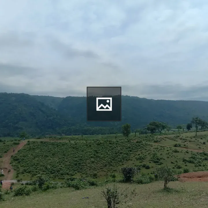 Natural Green View