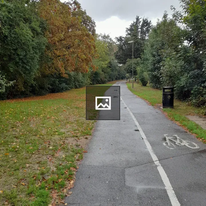 Autumn cycle track