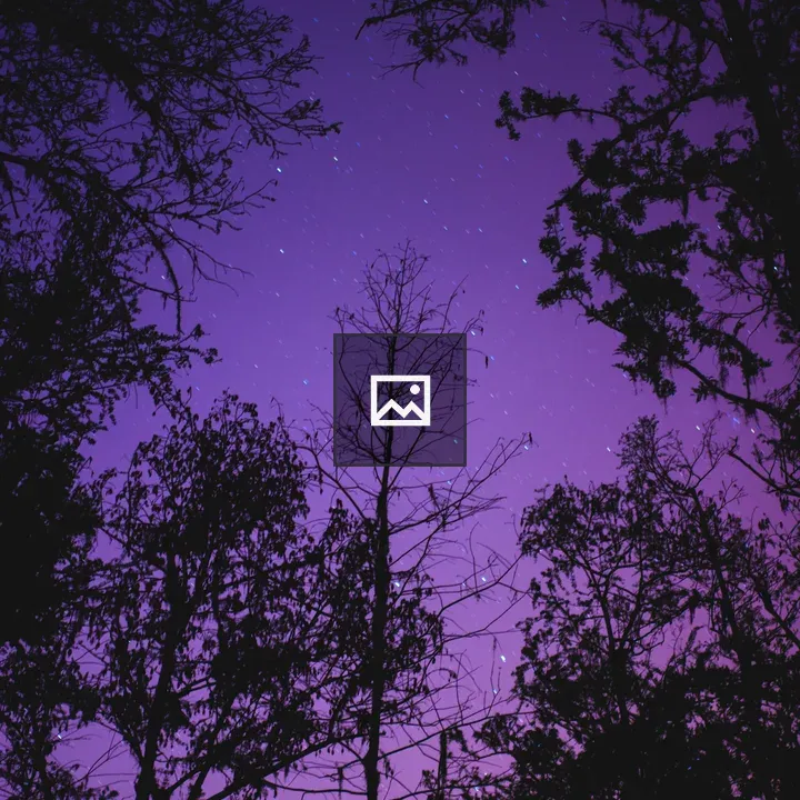 Stars in the Sky Through Trees