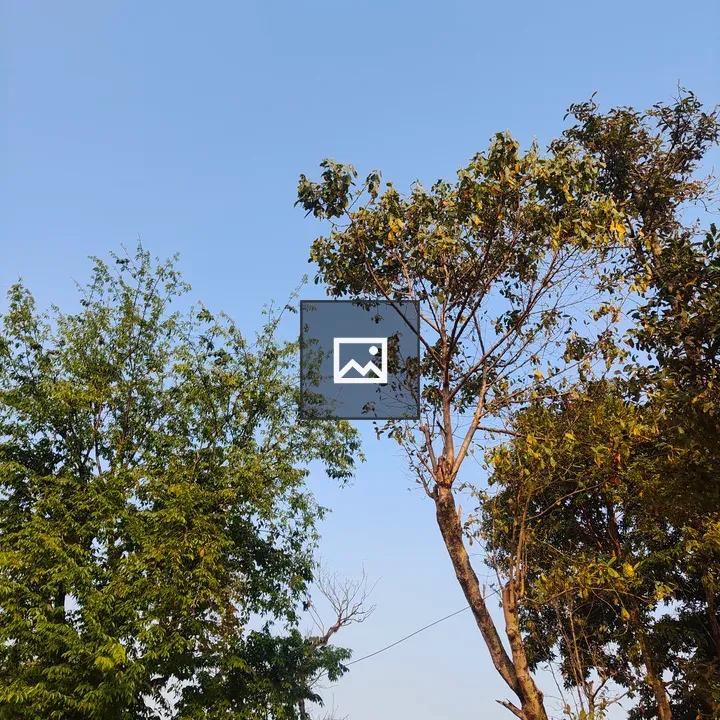 Clear blue sky over trees